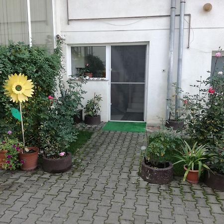 Vila Nely Рышнов Экстерьер фото