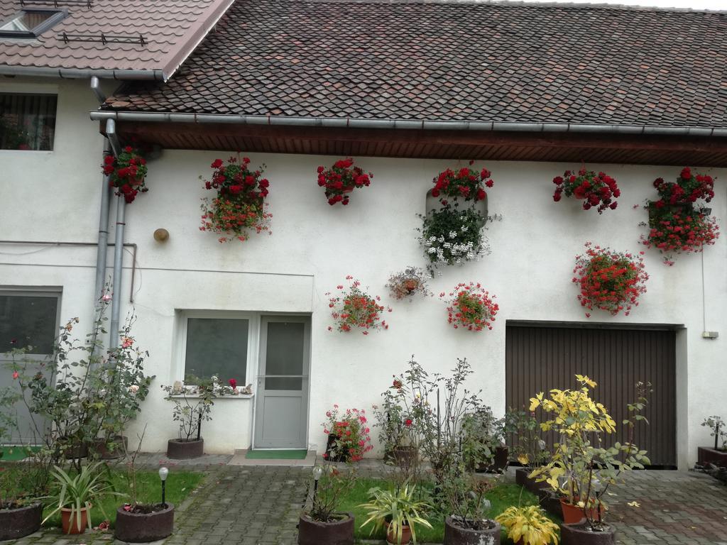 Vila Nely Рышнов Экстерьер фото