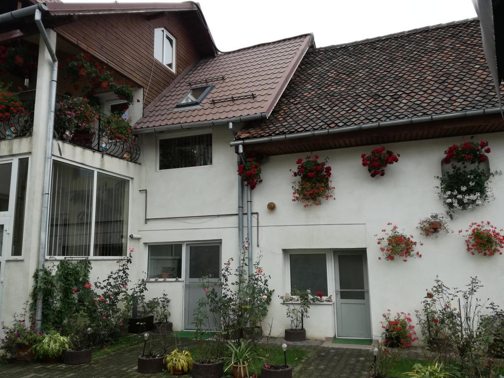 Vila Nely Рышнов Экстерьер фото