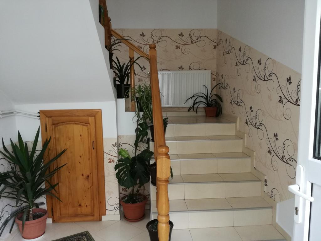 Vila Nely Рышнов Экстерьер фото