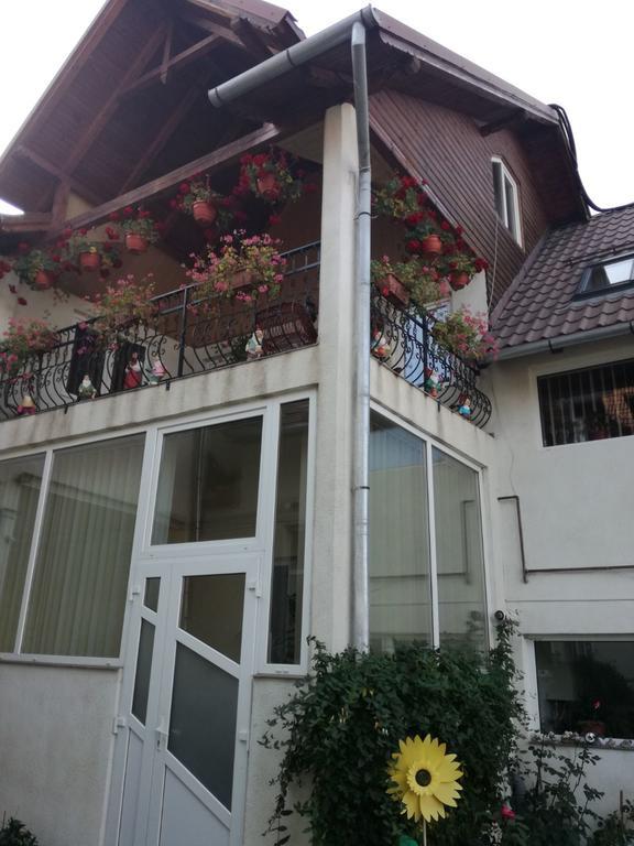 Vila Nely Рышнов Экстерьер фото